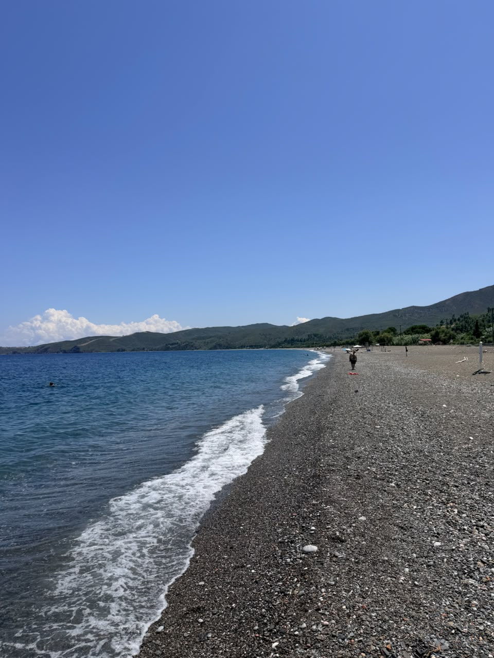 Ψαροπούλι