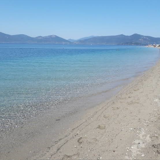 Τσοκαΐτη